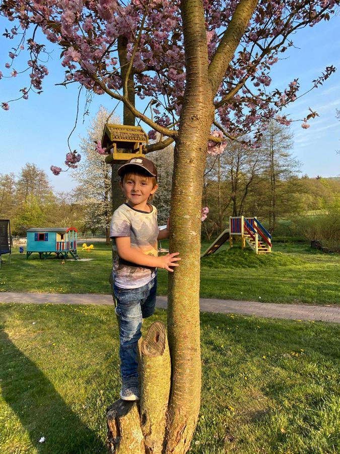 Die Hardtmuehle Bergfreiheit Esterno foto